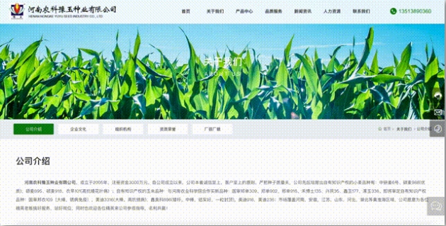 省钱省力！全能小编数字门户免费送 | 数字百宝箱001期