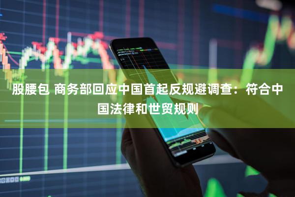 股腰包 商务部回应中国首起反规避调查：符合中国法律和世贸规则