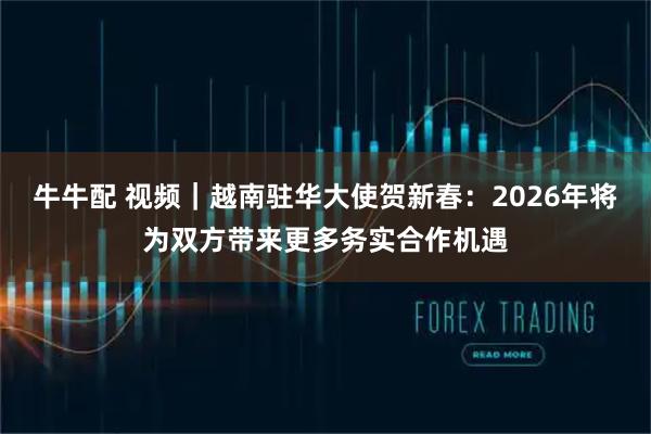 牛牛配 视频|越南驻华大使贺新春:2026年将为双方带来更多务实合作机遇