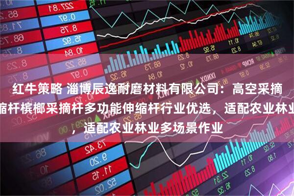 红牛策略 淄博辰逸耐磨材料有限公司：高空采摘杆碳纤维伸缩杆槟榔采摘杆多功能伸缩杆行业优选，适配农业林业多场景作业